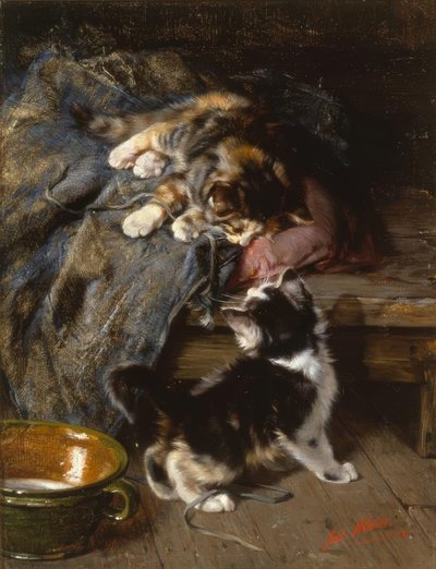 Kittens aan het spelen door Julius Adam