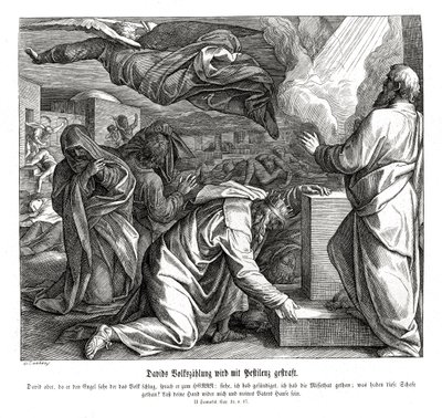 David wordt gestraft voor het tellen van het volk, 2 Samuel door Julius Schnorr von Carolsfeld
