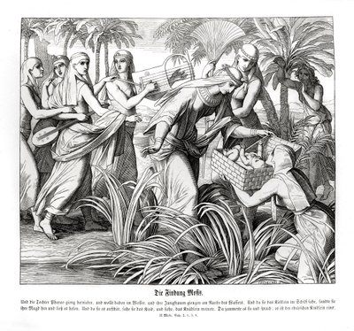 Mozes wordt ontdekt in het riet, Exodus door Julius Schnorr von Carolsfeld