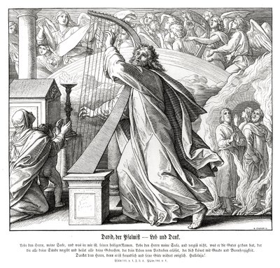 Psalmen - lof en dank door Julius Schnorr von Carolsfeld