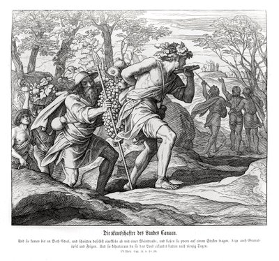 Verkenners naar het land Kanaän, Numeri door Julius Schnorr von Carolsfeld