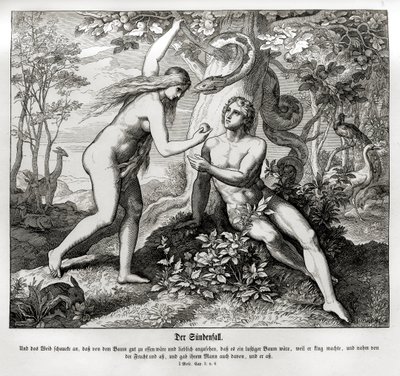 De val, Genesis door Julius Schnorr von Carolsfeld