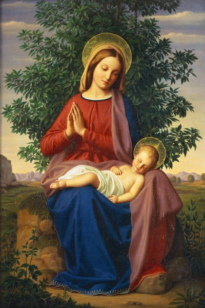 De Madonna en het kind door Julius Schnorr von Carolsfeld