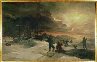 Twee Oostenrijkse officieren, Julius von Payer en Karl Weyprecht ... (schilderij op doek) door Julius Von Payer