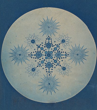 Frustules van Diatomeeën, ca. 1870 door Julius Wiesner.