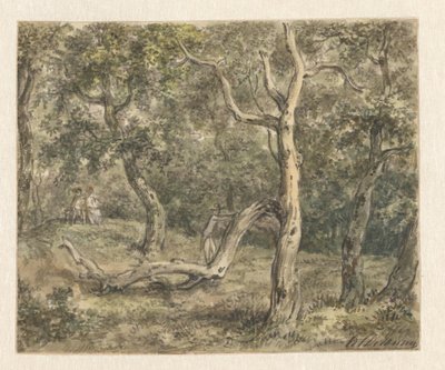 Een stel dat in het bos zit door Jurriaan Andriessen