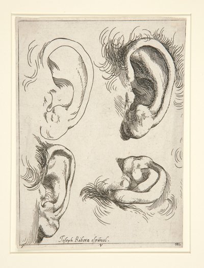 Studies van vier oren door Jusepe de Ribera