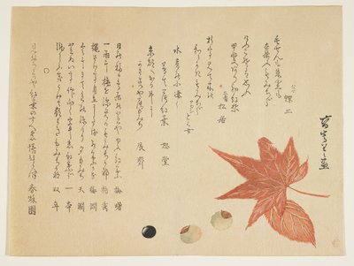Herfstbladeren en noten, 1849-76 door K II Skoku