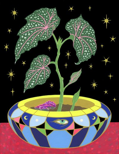Begonia in een pot door Kam Tsz