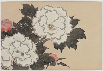 Bloemen van honderd werelden (Momoyogusa): Pioenen (Fukamigusa) door Kamisaka Sekka
