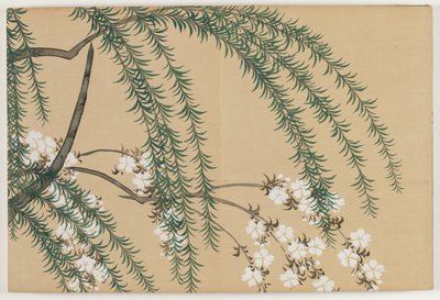 Bloemen van Honderd Werelden: Wilg en Kers door Kamisaka Sekka