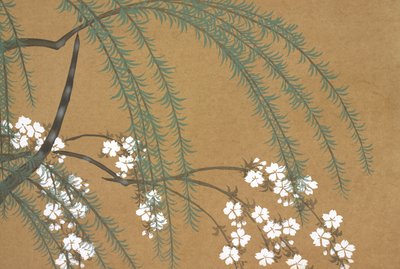 Yanagi Sakura, uit Momoyo-gusa door Kamisaka Sekka