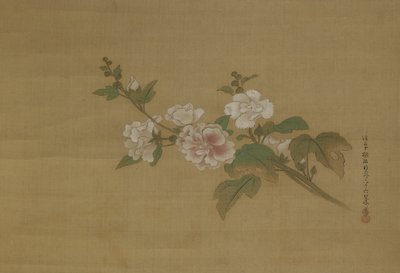 Een tak van bloeiende hibiscus, Edo-periode (kleur op zijde) door Kano Tanyu