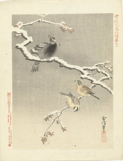 Drie vogels op besneeuwde tak door Kano Tsunenobu