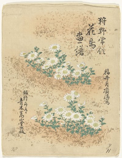 Inhoudsopgave Bloemen- en vogelschetsen van Kano Tsunenobu (serie titel) Kano Tsunenobu kacho gafu (serie titel op object) door Kano Tsunenobu