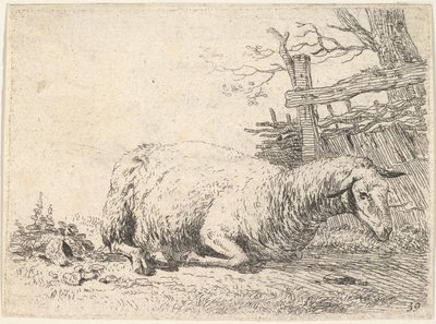 Een schaap liggend met zijn poten onder zijn lichaam naast een houten hek, de scha..., ca. 1655 door Karel Du Jardin