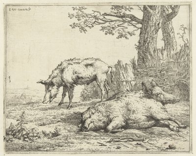 Drie zwijnen bij een heg door Karel Du Jardin