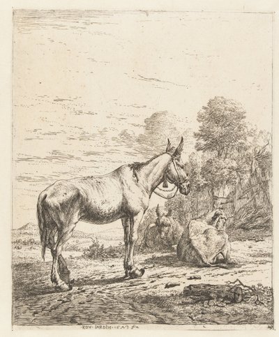 Muilezel met bel aan halster en twee liggende ezels door Karel Du Jardin