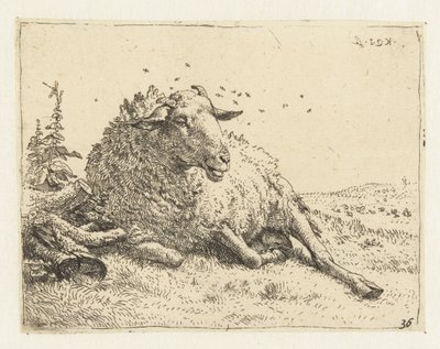 Schaap bij een boomstam door Karel Du Jardin