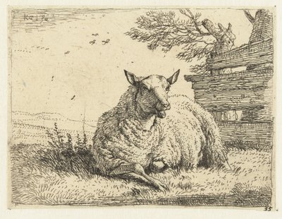 Schaap bij een hek door Karel Du Jardin