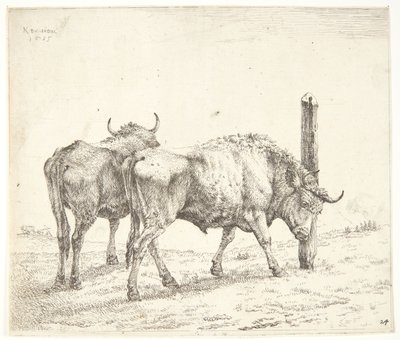 De twee ossen door Karel Du Jardin