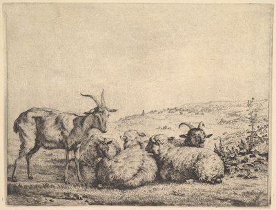 Twee Geiten en Drie Schapen door Karel Du Jardin