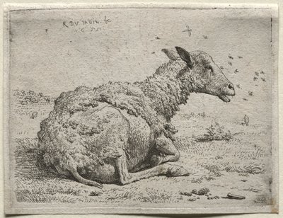 De Schapen en de Vliegen door Karel Dujardin