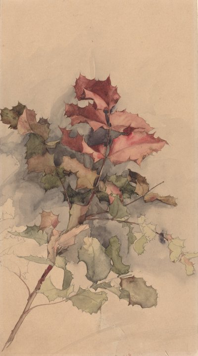 Studie van de Struik door Karel Vitezslav Masek