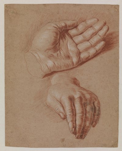 Studies van twee handen door Karel van III Mander