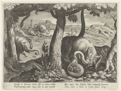 Olifant in gevecht met slang, Jachttaferelen (serietitel), Venationes Ferarum, auium, piscium pvgnae Bestiariorum (serietitel) door Karel van Mallery (attributed to)
