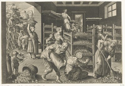 Verzamelen van Moerbeiboombladeren en het voeren van de zijderupsen door Karel van Mallery