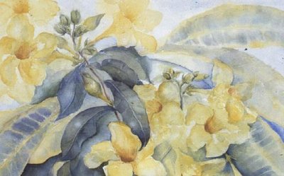 Alamanda of gele bellen door Karen Armitage