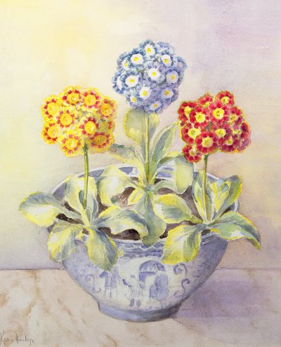 Auricula in een Chinese pot door Karen Armitage