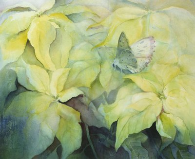 Crème Poinsettia met vlinder door Karen Armitage