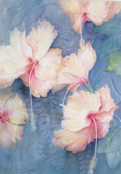 Hibiscus, abrikoos door Karen Armitage