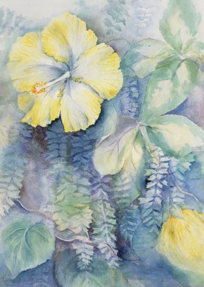 Hibiscus, geel door Karen Armitage