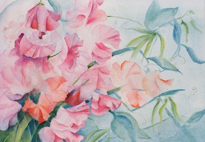 Lathyrus Odoratus, Lathyrus (horizontaal) door Karen Armitage