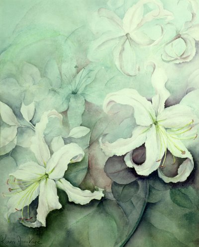 Lelies, witte Auratum door Karen Armitage