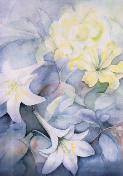 Lilium, Hearts Desire en Imperiale door Karen Armitage