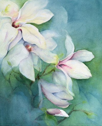 Magnolia Dedudata door Karen Armitage