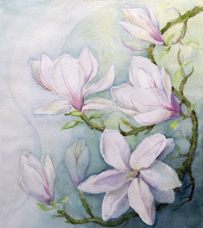 Magnolia