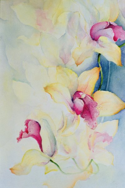 Orchidee, Cymbidium, Prins Charles door Karen Armitage