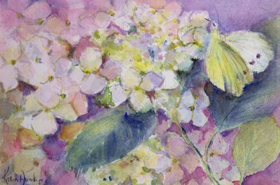 Bleekgele wolkvlinder, Colias Hyale op hortensia door Karen Armitage