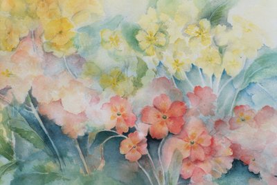 Polyanthus, gemengde hybriden door Karen Armitage