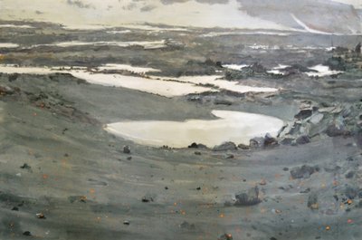 Scherp toendra-landschap door Karin Bos