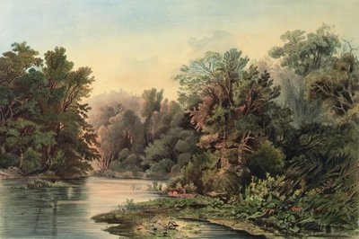 Bosscène aan de Lehigh, Pennsylvania, plaat 1 uit volume 2 van `Reizen in het Binnenland van Noord-Amerika` door Karl (after) Bodmer