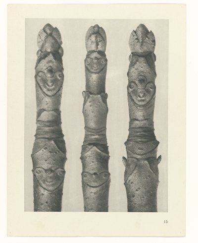 Plantstudie Urformen der Kunst (serietitel) door Karl Blossfeldt