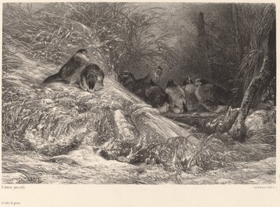 Beschut tegen de vorst door Karl Bodmer