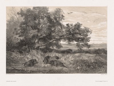 Dieren en Landschap naar de Natuur: Wild Zwijn in een Vijver door Karl Bodmer