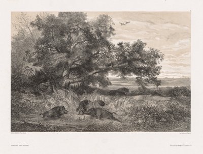 Dieren en landschap naar de natuur: Wild zwijn in een vijver, ca. 1850 door Karl Bodmer